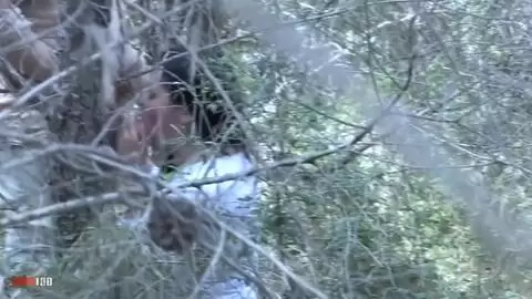 Voyeur clip of a girl blowing her BF in the forest photo 01