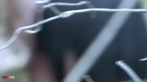 Voyeur clip of a girl blowing her BF in the forest photo 09