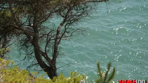 Alys Rebel desnudandose  en el bosque  photo 1