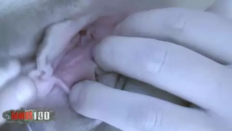 Pequeña follada improvisada con Barbara Nux photo 10