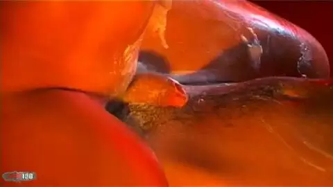 Show de Group a Besancon 2007 photo 15