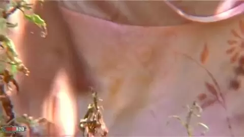 Bit tited blonde striping at the lake photo 07