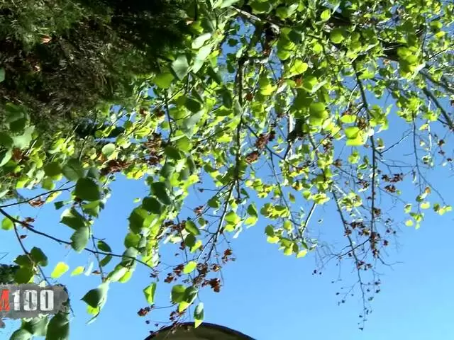 Limpieza de la lente de la cámara photo 6