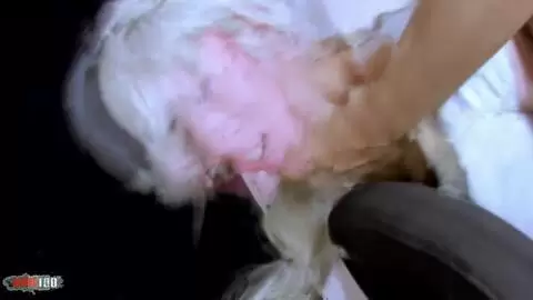 La joven rubia francesa Milky Cooper en un trío anal con doble penetración photo 05