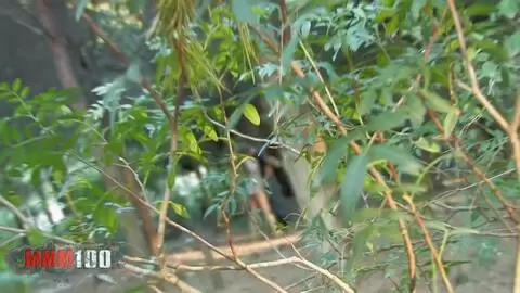 Un voyeur graba a un tío recibiendo una mamada en el bosque. photo 4