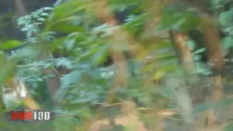 Un voyeur graba a un tío recibiendo una mamada en el bosque. photo 5