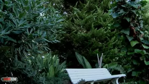 Pauline Cooper Meando en exterior photo 16