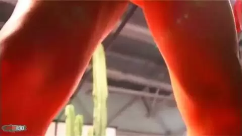 Show de Angelina a Prova 2006 photo 02