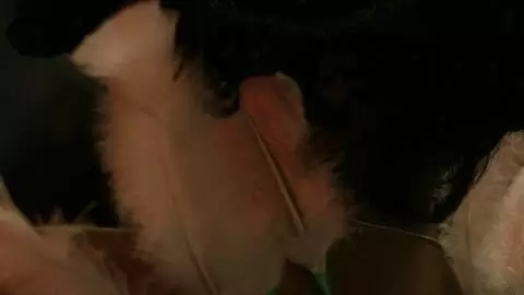 Show de Krystal a Prova 2007 photo 3