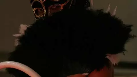 Show de Krystal a Prova 2007 photo 5