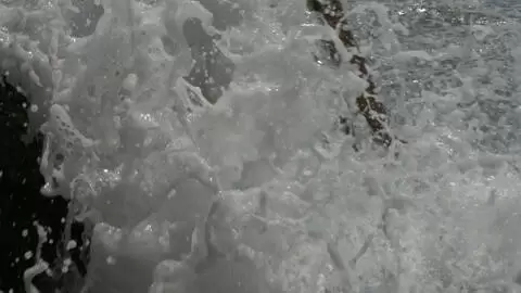 Joven estudiantes desnuda en la playa photo 15