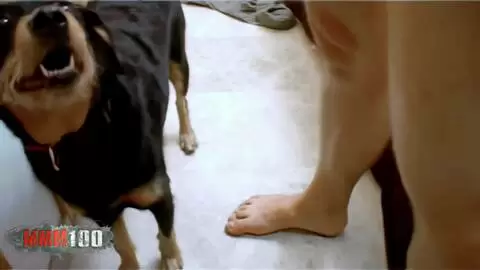 vayana mo1